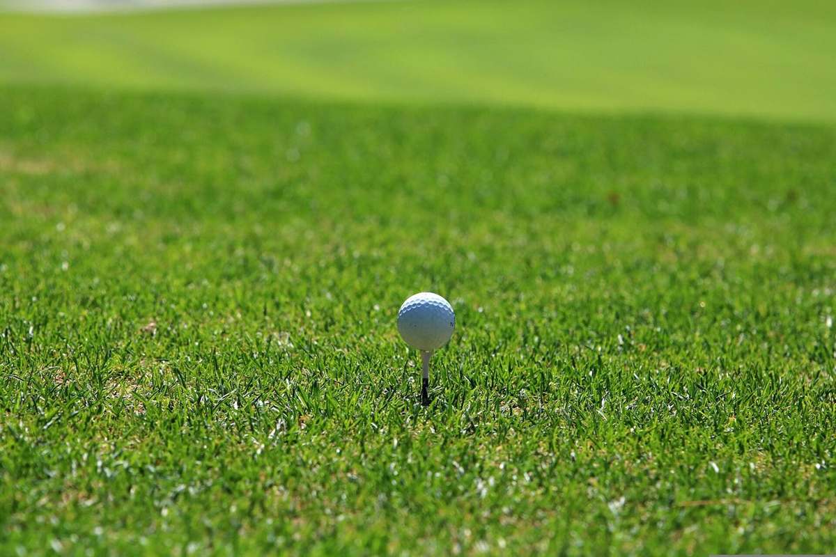 Golf ball with tee